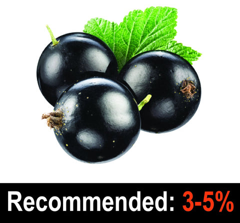 Blackcurrant FA - FlavourConcentrates.com