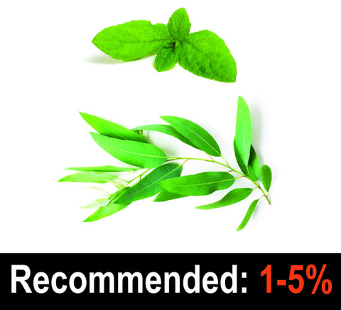 Eucalyptus With Mint - Inawera