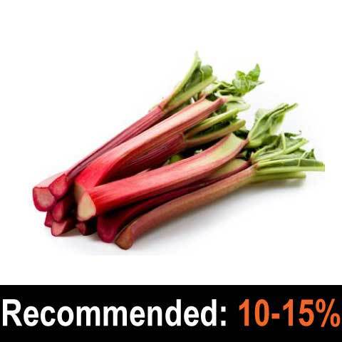Rhubarb - The Flavour Concentrate Company